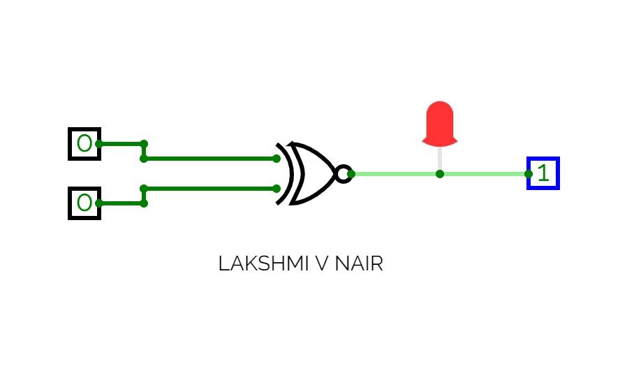Lakshmi V Nair-01/11/2021